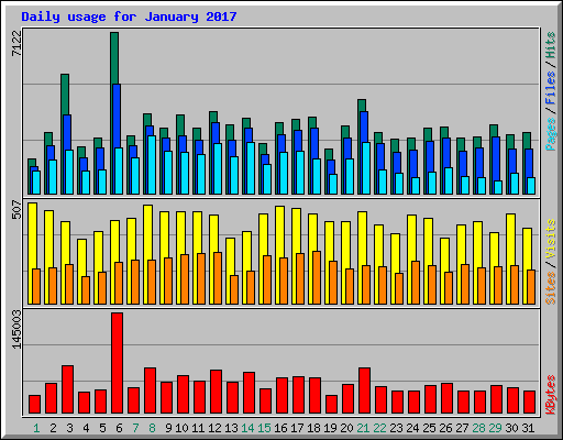 Daily usage for January 2017