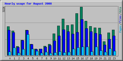 Hourly usage for August 2008