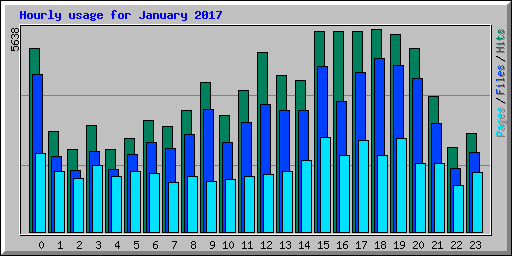 Hourly usage for January 2017