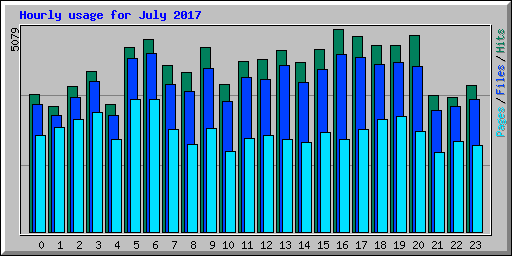 Hourly usage for July 2017