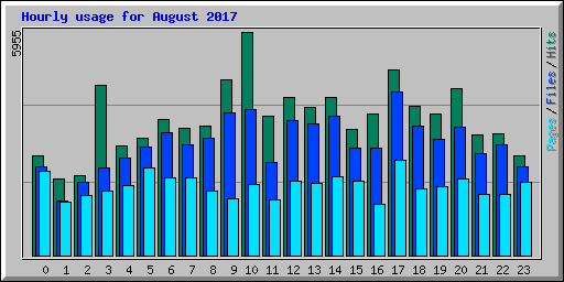 Hourly usage for August 2017